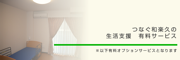 有料オプションサービス